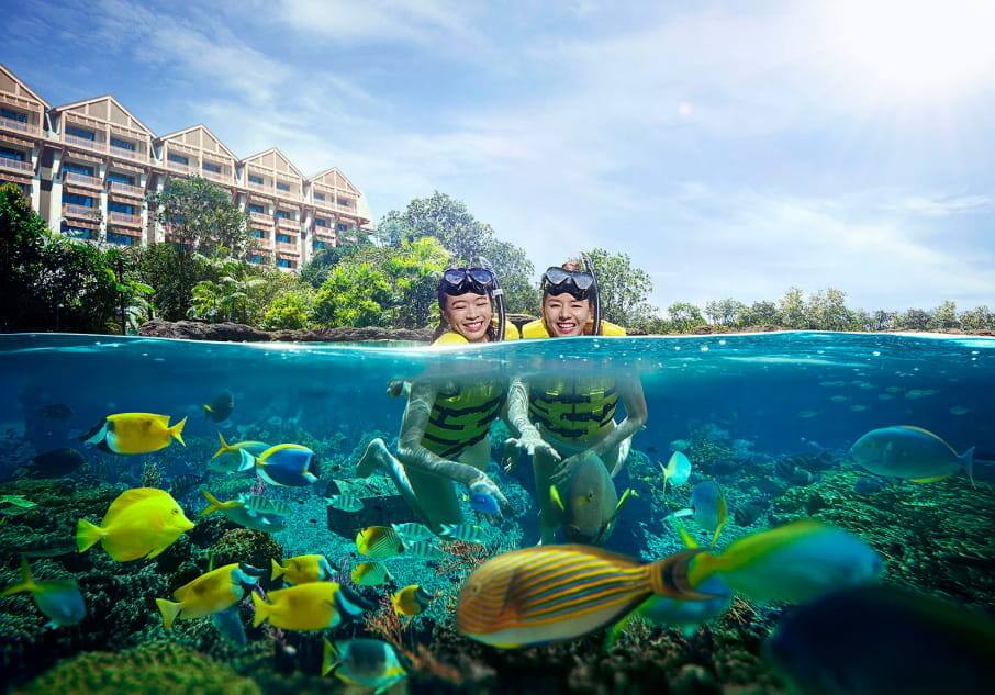 Rainbow Reef at Adventure Cove Waterpark