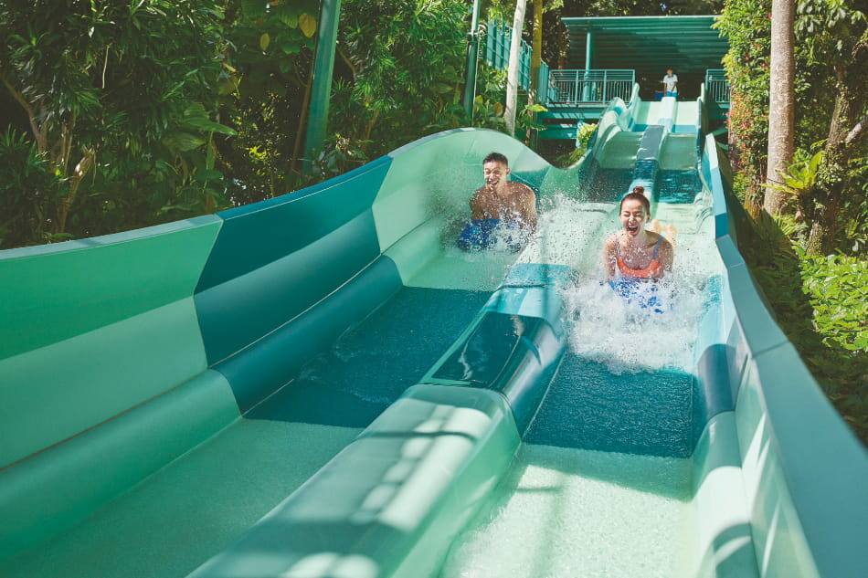 Dueling Racer at Adventure Cove Waterpark