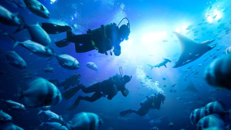 se-discover-scuba-diving-750x422