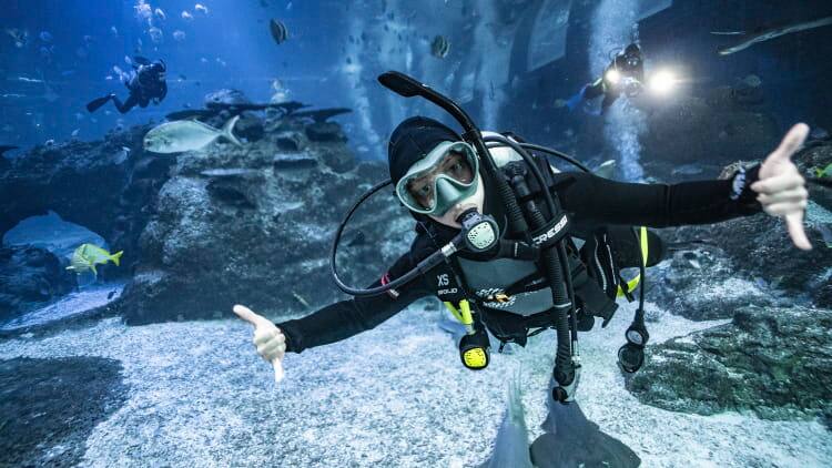 se-padi-advanced-open-water-diver-750x422