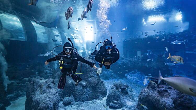 se-padi-open-water-diver-750x422